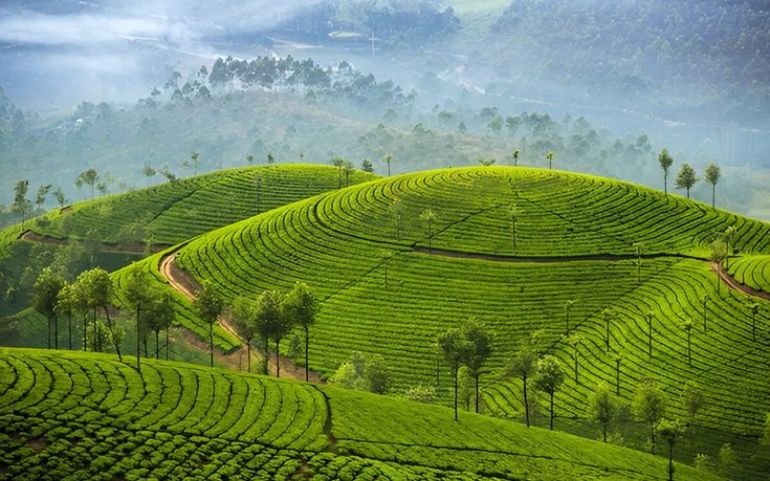 Scenic Coimbatore to Munnar trip with tea gardens, waterfalls, and hills
