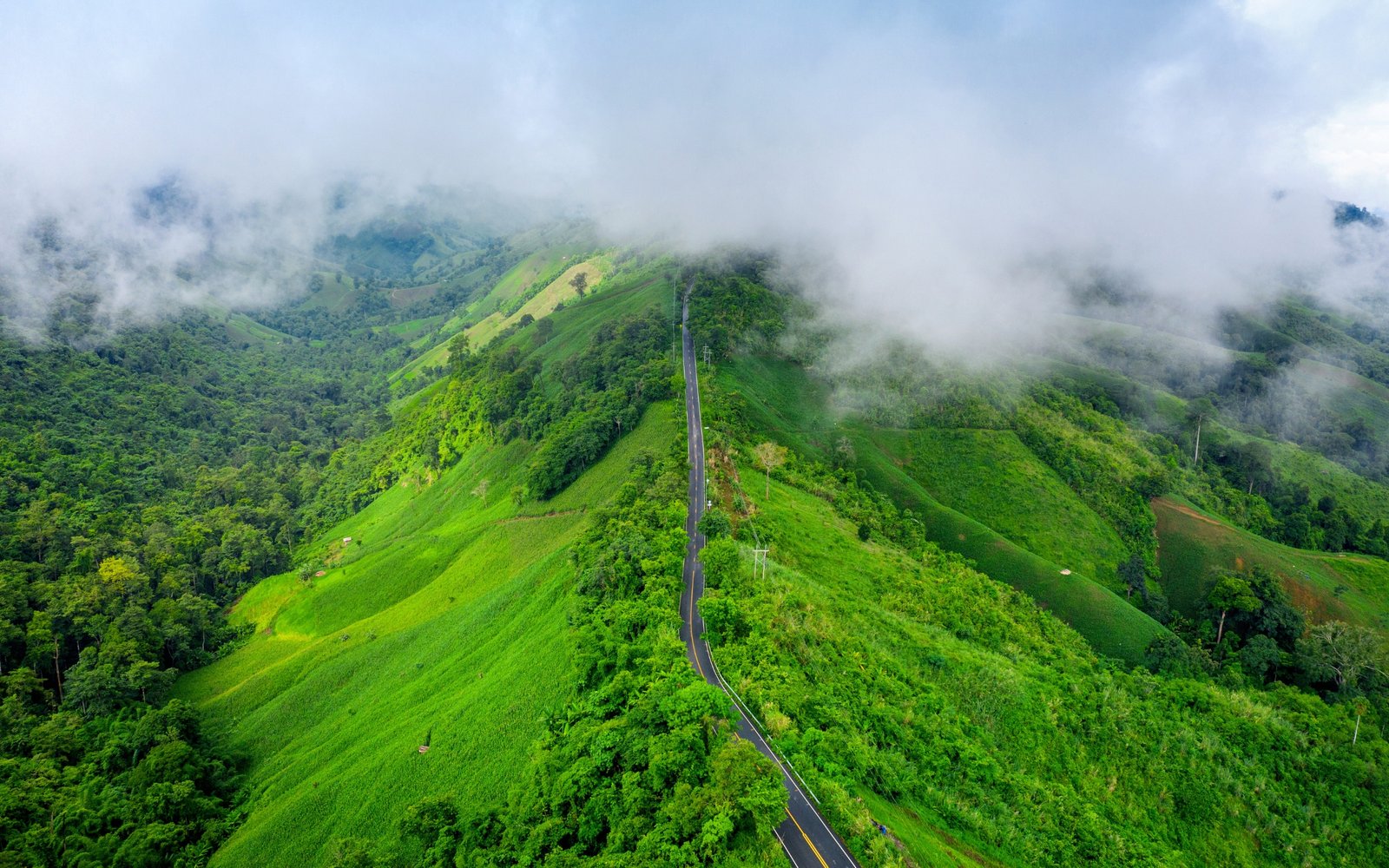 Coimbatore to Wayanad tour package – Scenic hills, waterfalls, and wildlife experience
