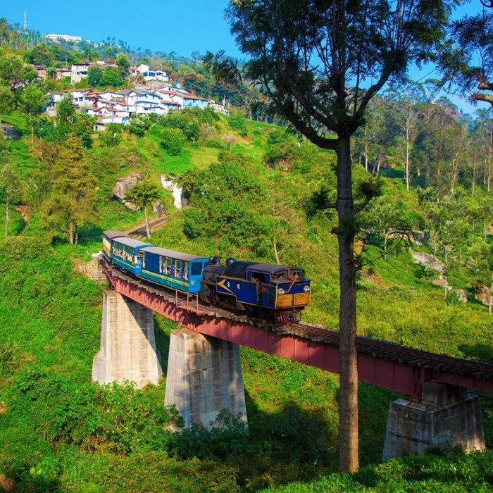 Tea Museum & Factory