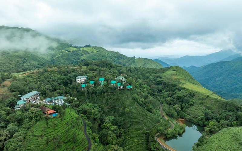 Scenic green meadows and misty pine forests on the Coimbatore to Vagamon route